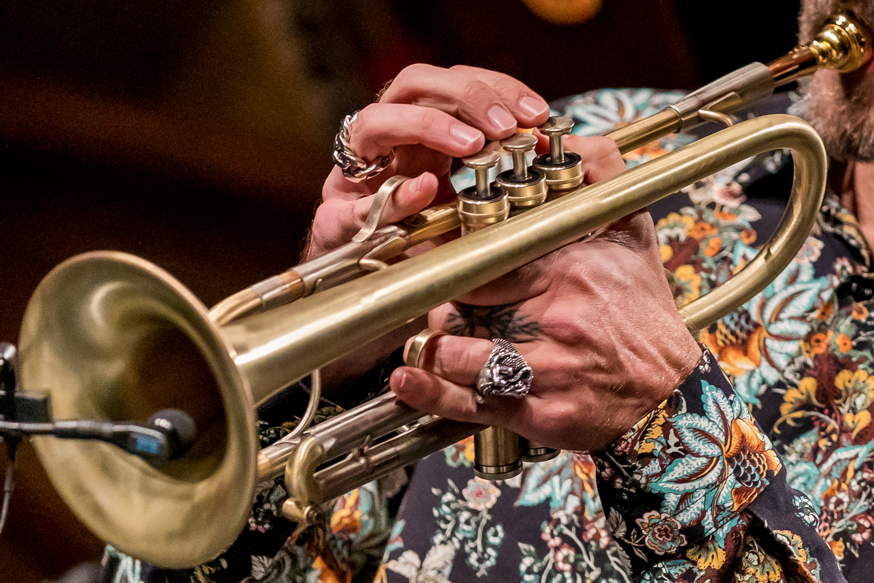 2018_11_23-©-LKV-Monday-Bosso-214332-5D4B2566